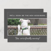 近所の人を探すかわいい放浪白い子犬アン 案内ポストカード (正面/裏面)