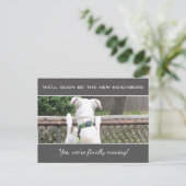 近所の人を探すかわいい放浪白い子犬アン 案内ポストカード (スタンド正面)