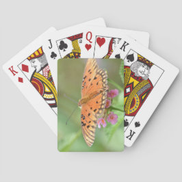 近所の公園で見つかった花の上の蝶 トランプ