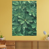 近葉くの写真 キャンバスプリント (インサイチュ (リビング))