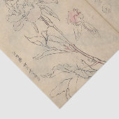 近藤有義によるスケッチブック Pl. 110 薄葉紙 (詳細)