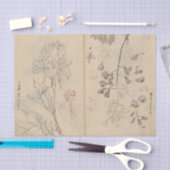 近藤有義によるスケッチブック Pl. 110 薄葉紙 (クラフト)
