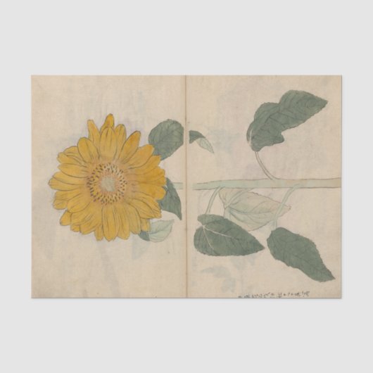近藤有義によるスケッチブックPl. 103 薄葉紙 (正面)