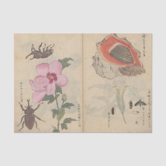 近藤有義によるスケッチブックPl. 108 薄葉紙 (正面)