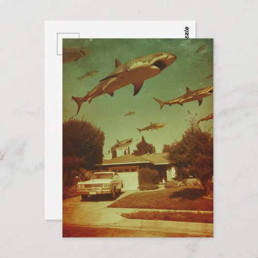 近飛んでいる辺のサメヴィンテージ ポストカード (正面/裏面)