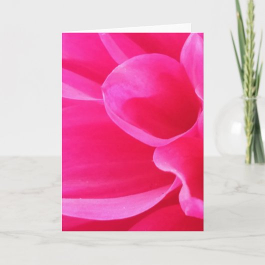 近鮮やかくのデリラ空白のの花 カード (正面)