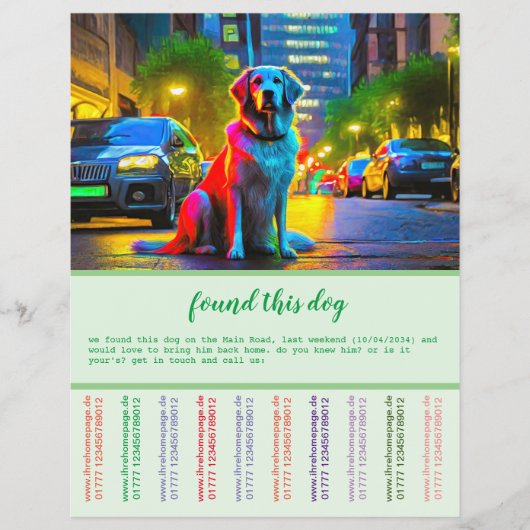 迷い犬 チラシ (正面)