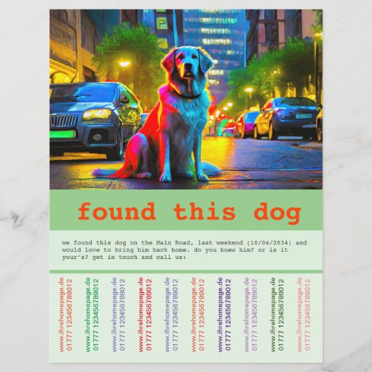 迷い犬 チラシ (正面)