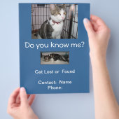 迷い猫・保護猫のポストチラシ チラシ (手)