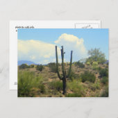 迷信美しいはがき ポストカード (正面/裏面)