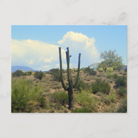 迷信美しいはがき ポストカード (正面)