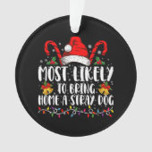 迷子の犬を家に連れて帰りそうな人 クリスマス オーナメント (正面)