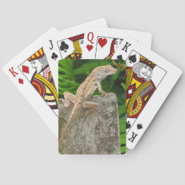 迷彩マスター トランプ