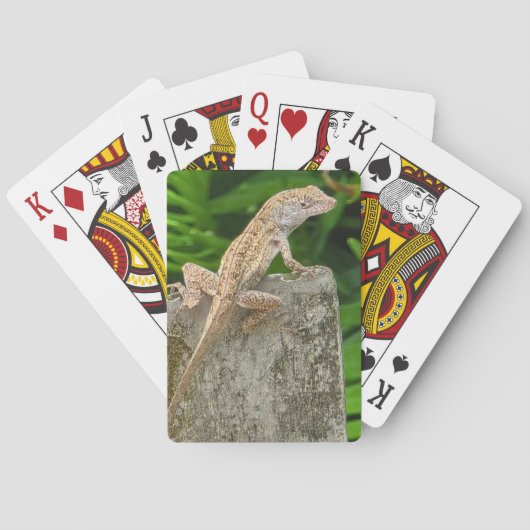 迷彩マスター トランプ (裏面)