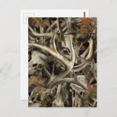 迷彩柄のシカのスカル ポストカード (正面/裏面)