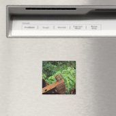 迷彩柄のリス マグネット (インサイチュ (食洗機))