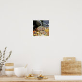 迷彩柄カエル ポスター (キッチン)