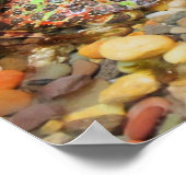 迷彩柄カエル ポスター (角)