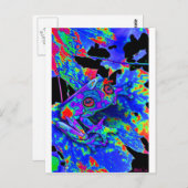 迷彩柄カエル ポストカード (正面/裏面)