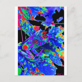 迷彩柄カエル ポストカード
