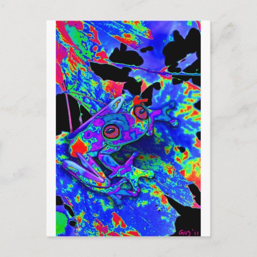 迷彩柄カエル ポストカード (正面)