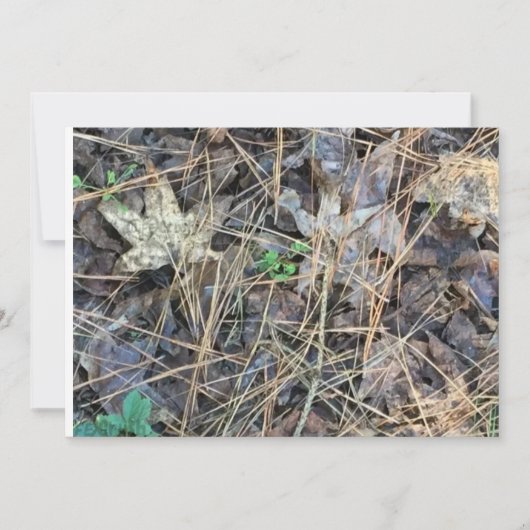 迷彩柄空白の招待状、カモフラージュ 招待状 (正面)