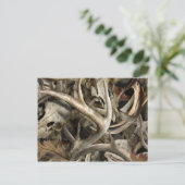 迷彩柄鹿スカル ポストカード (スタンド正面)