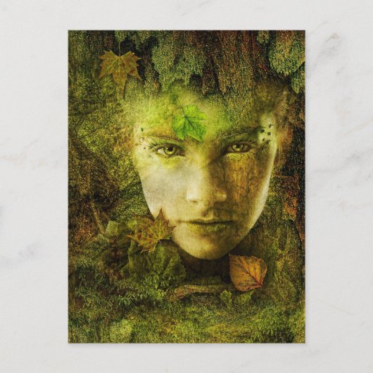 迷彩葉書 ポストカード (正面)