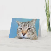 迷惑な猫がん勇気付けられる カード (正面)