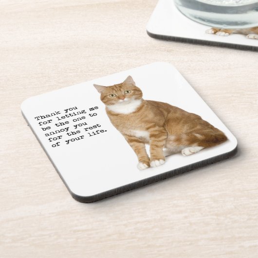 迷惑な猫のコースター コースター (左側)