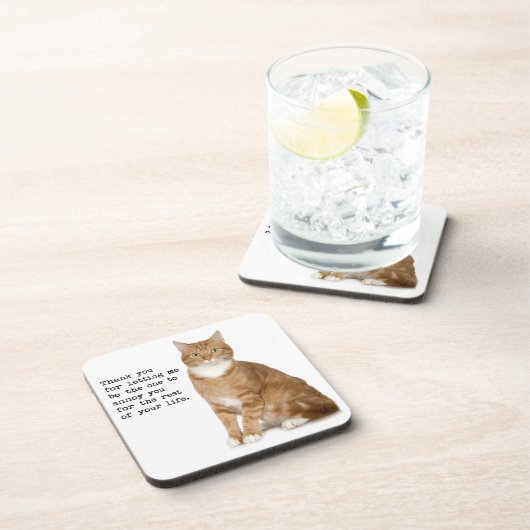 迷惑な猫のコースター コースター (右側)
