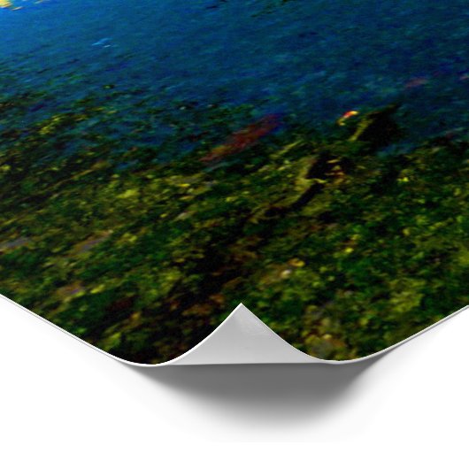 迷走神経 ポスター (角)