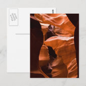 迷路のポストカードコピー ポストカード (正面/裏面)