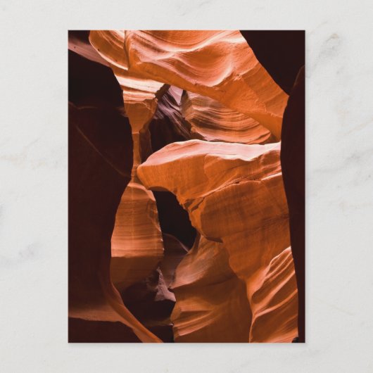 迷路のポストカードコピー ポストカード (正面)