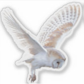 迷路は永遠のフクロウ結婚だけだ シール (正面)