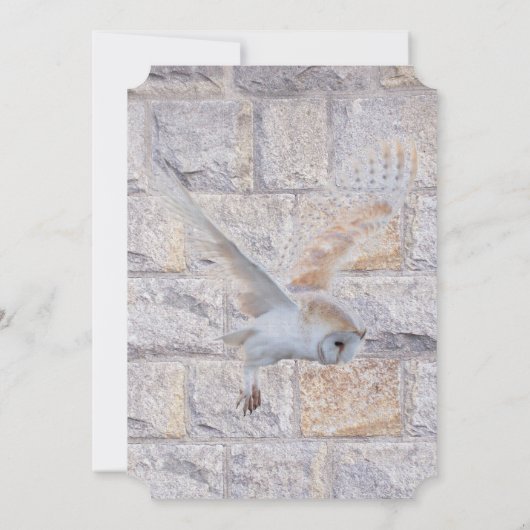 迷路は永遠のフクロウ結婚だけだ 招待状 (裏面)