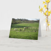 迷路-平穏--を牧草を食べているヒツジ カード (黄色い花)