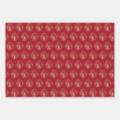 追加文字中国の新年ラビットゴールデンレッド2023 ラッピングペーパーシート (正面2)