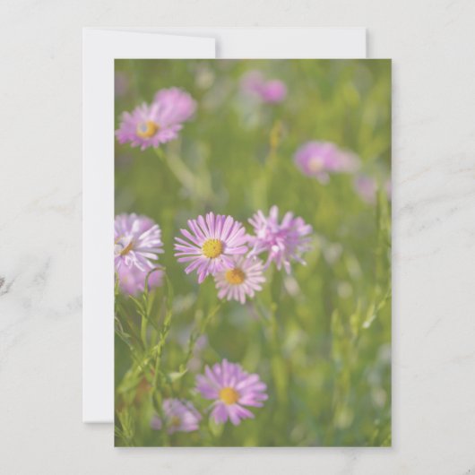 追悼会 カード (裏面)