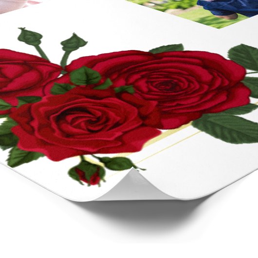 追憶の写真コラージュ 赤いバラと金のフレーム ポスター (角)