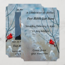 追憶の写真　カーディナル赤い鳥 招待状