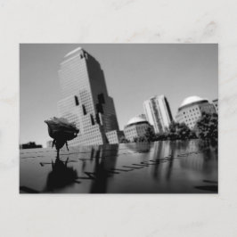 追憶の白いバラ ポストカード