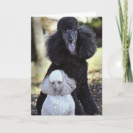 追跡および友人 カード (正面)