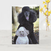 追跡および友人 カード (黄色い花)