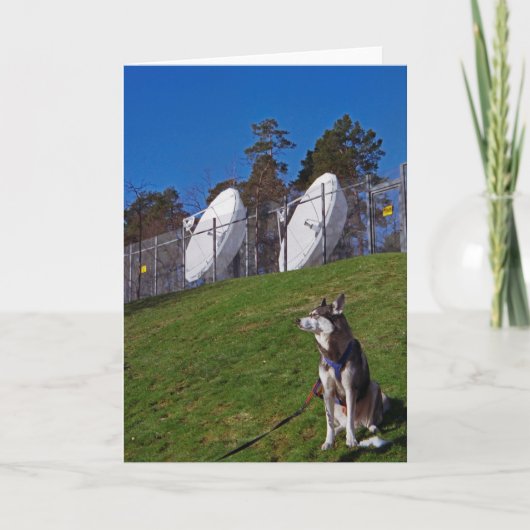 追跡犬 カード (正面)