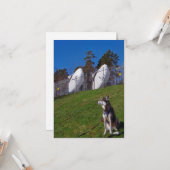 追跡犬 カード (正面/裏面インサイチュ)