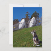 追跡犬 カード (正面)