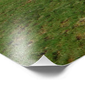 追跡犬 フォトプリント            (角)