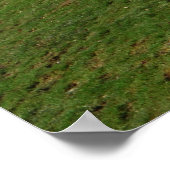 追跡犬 ポスター (角)