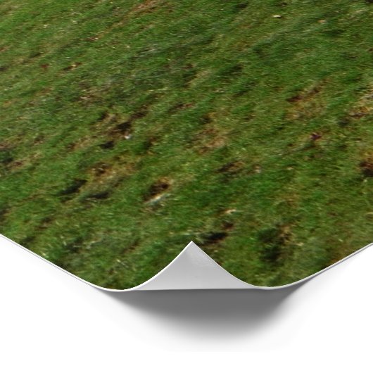 追跡犬 ポスター (角)